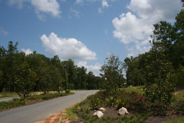 Magnolia Forest - A Unique Community Just minutes from Tallahassee in Quincy, Florida