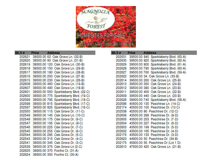 Magnolia Forest Lot Pricing