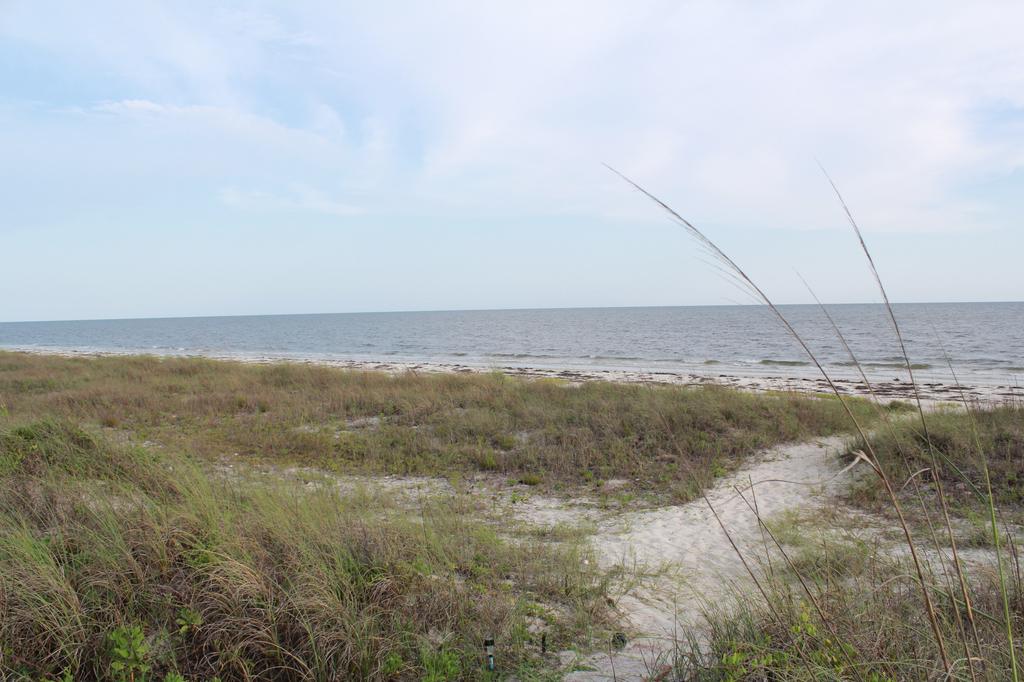 15331531 Alligator DrAlligator Point Beach Florida Panacea Homes For Sale