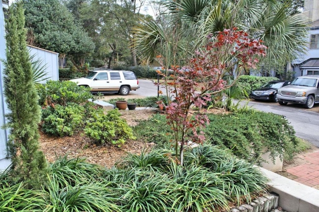 Front Yard-2-tm
